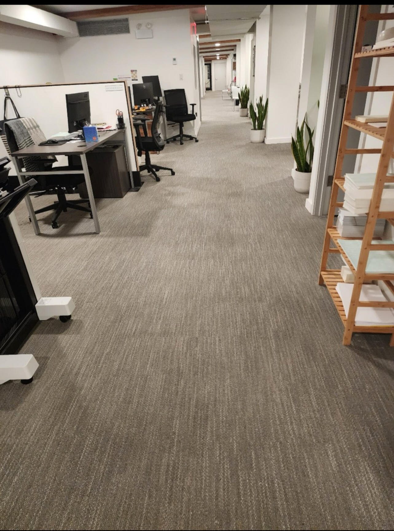 Office corridor with freshly vacuumed gray carpet between workstations